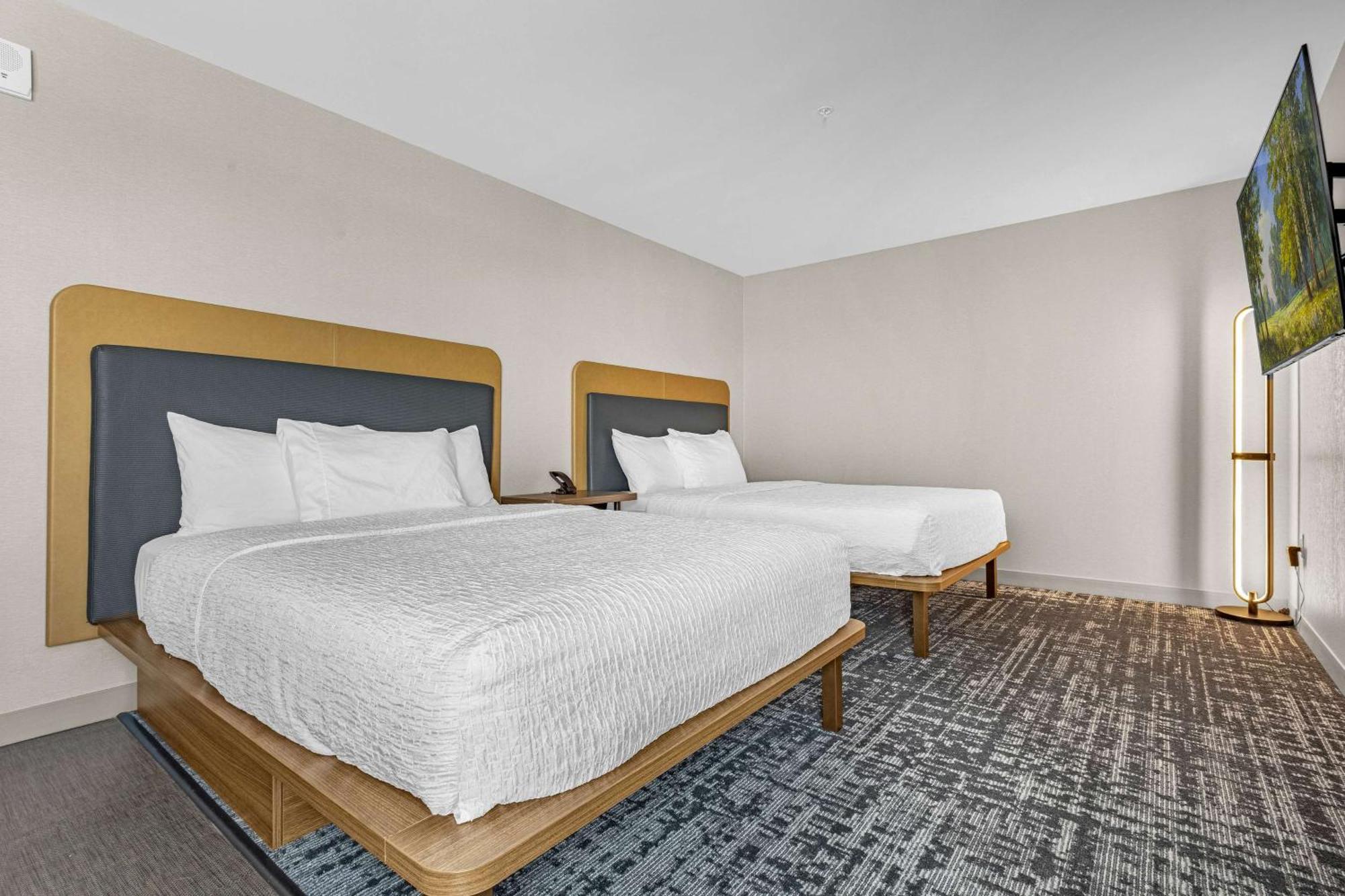 Homewood Suites By Hilton Colorado Springs Airport 外观 照片